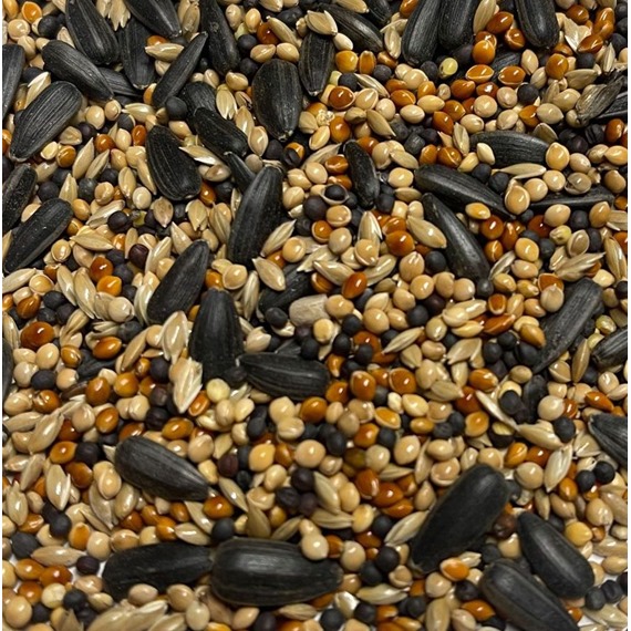 AB12 Small Seed Mix GOLD