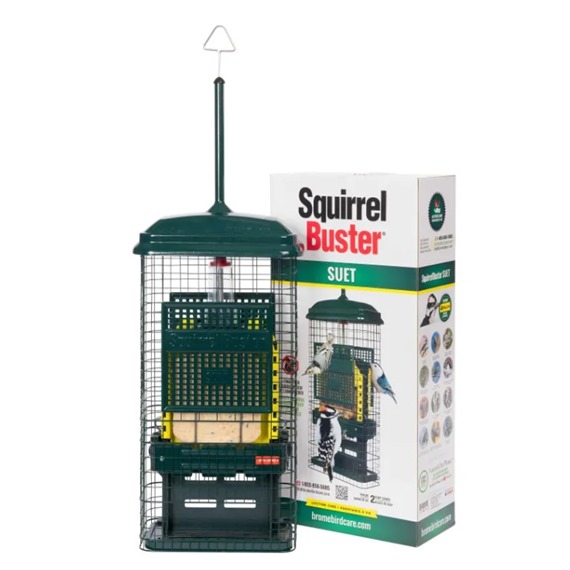 Squirrel Buster Suet