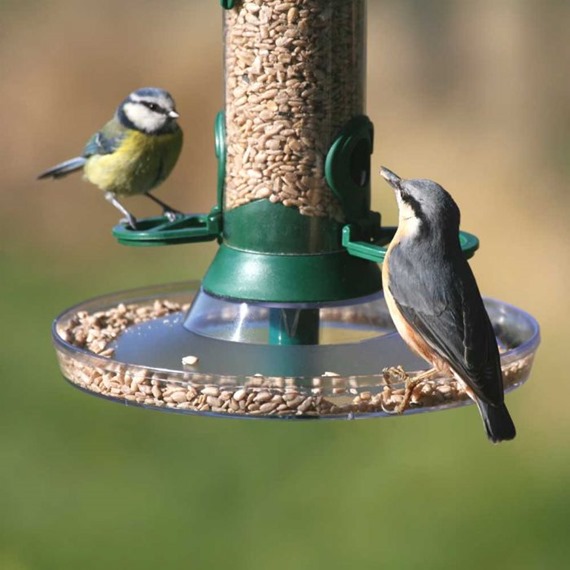 Standard Feeder Tray