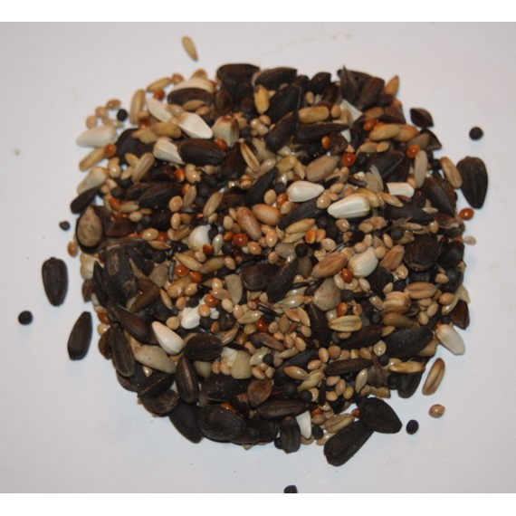 Finch seed mix