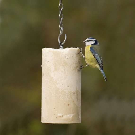 National Trust Peanut Cake