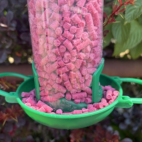Gardman Berry Suet Treats 500g + 100% Extra Free
