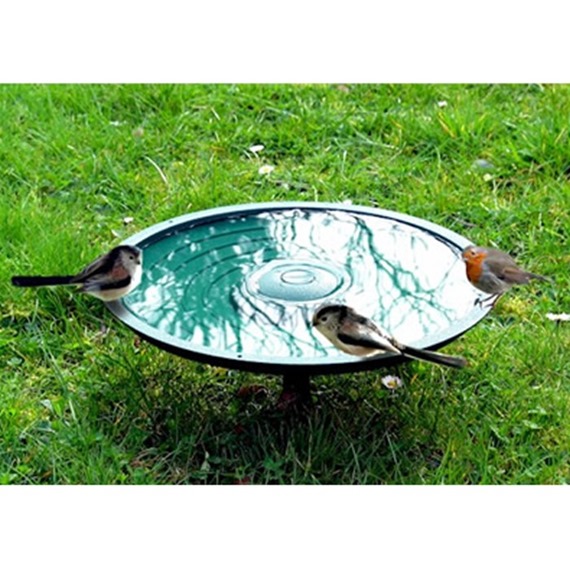 Anywhere Bird Bath