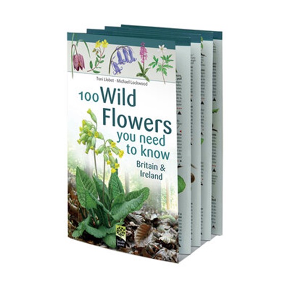 100 Wild Flowers You Need to Know