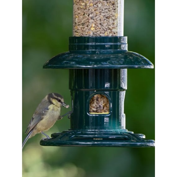 RSPB Squirrel Buster™ 