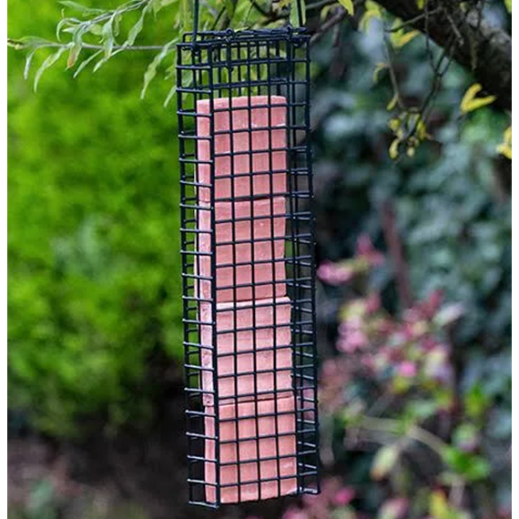 Quad Suet Feeder 