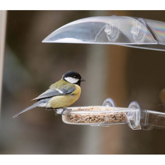 Bordeaux Window Feeder 