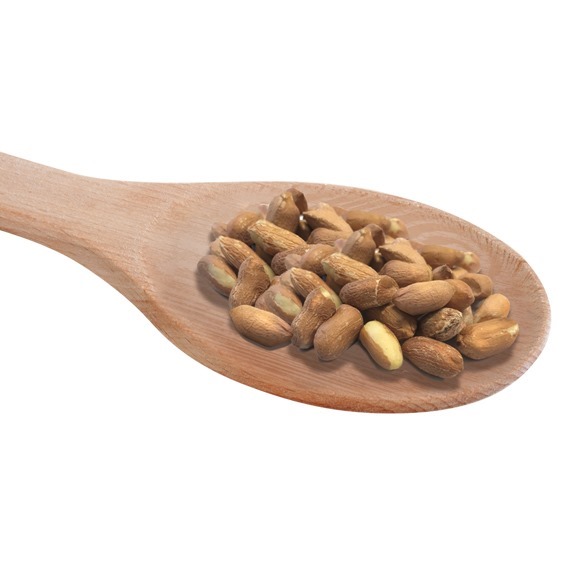 Flip Top Bird Feeding Bundle plus food