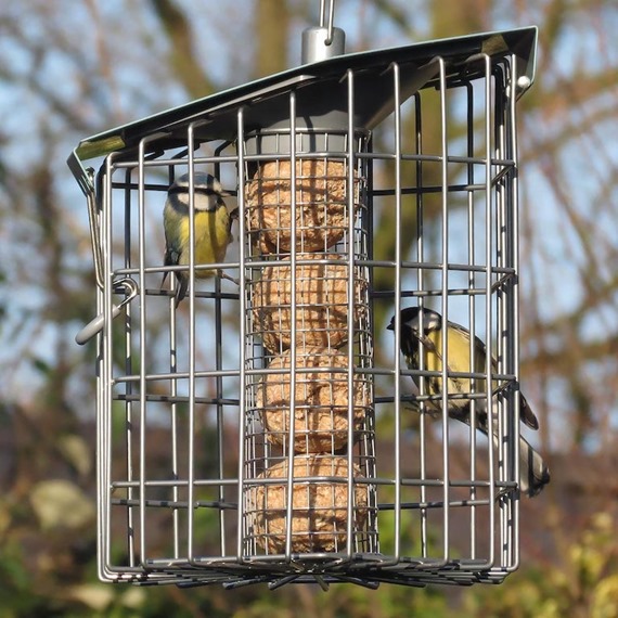 Nuttery Hexihaus Fatball/Suet Cake Feeder