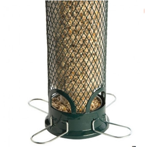 squirrel buster mini bird feeder