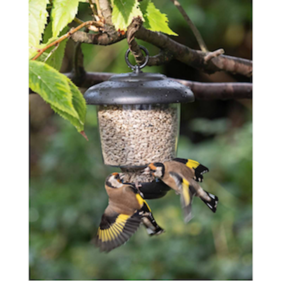 lantern bird feeder