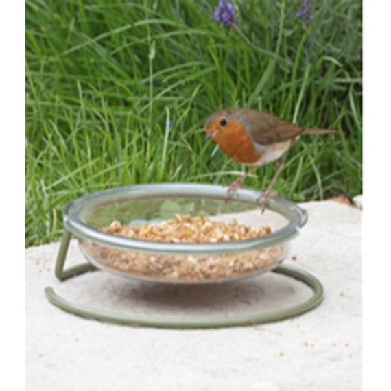 I Love Robin Easy-Clean Treat Dish 