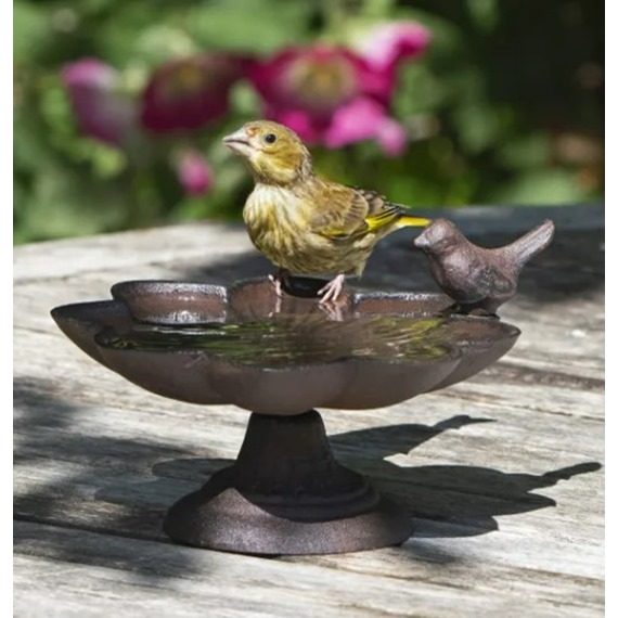 Old Iron Buttercup Water Dish 