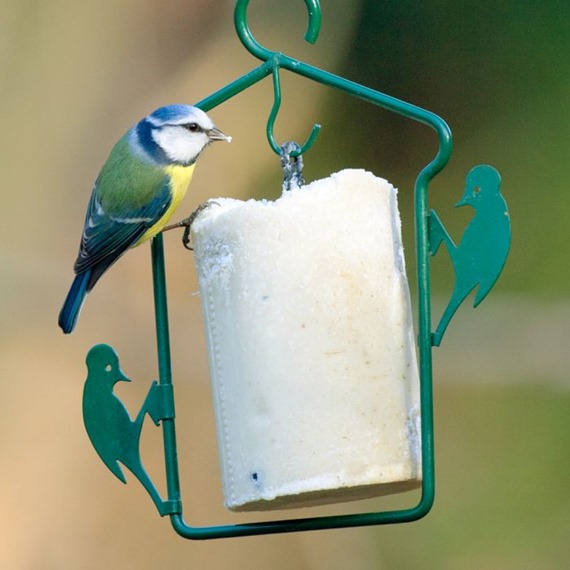 National Trust Peanut Cake Hanger (500ml)