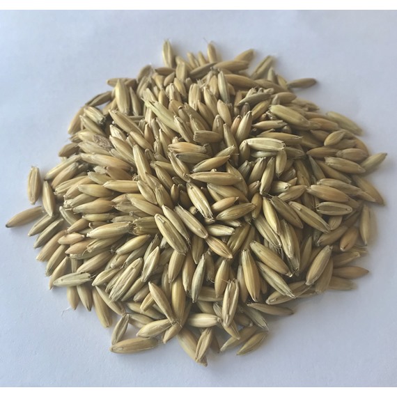 Oats 