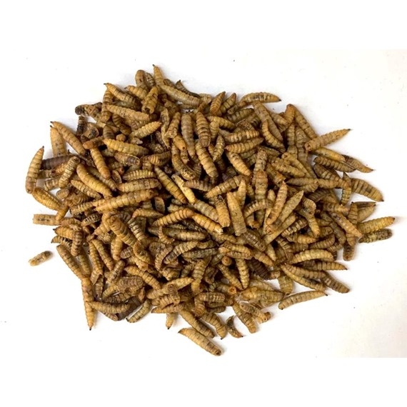 Dried Calci-worms