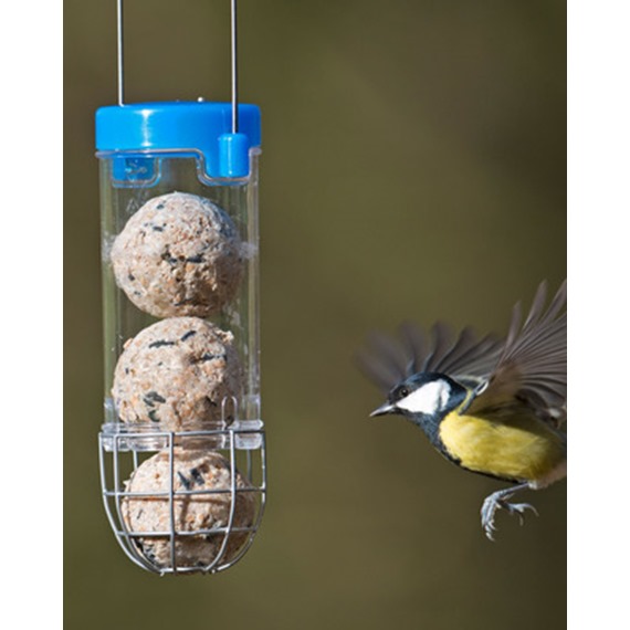 Get Set Go™ Suet Ball Feeder