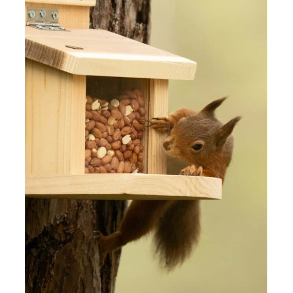 NutBox™ Squirrel Feeder