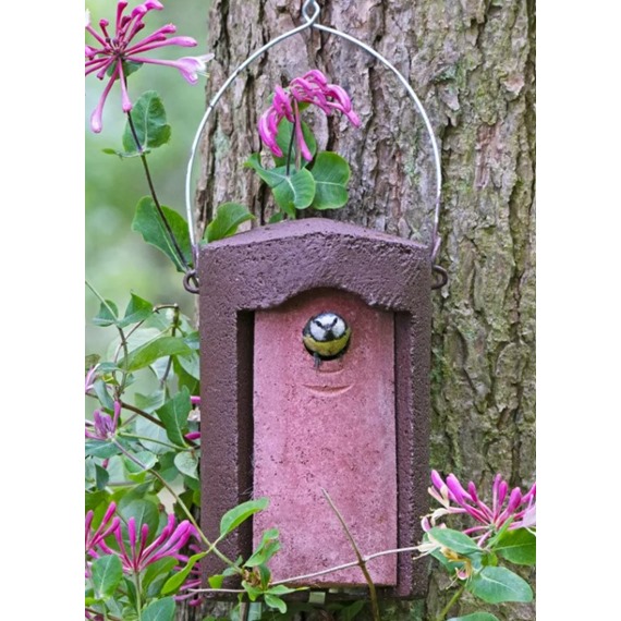 The Official 1B Nestbox