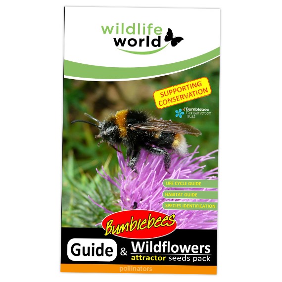 Wildflower Attractor Pack - Bumble Bees