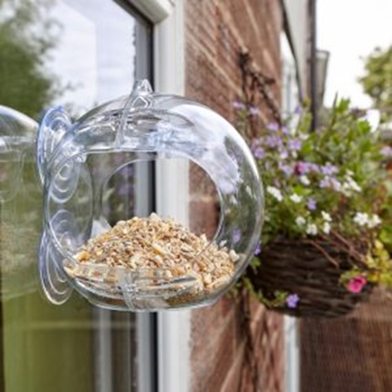 Peckish Globe Window Feeder