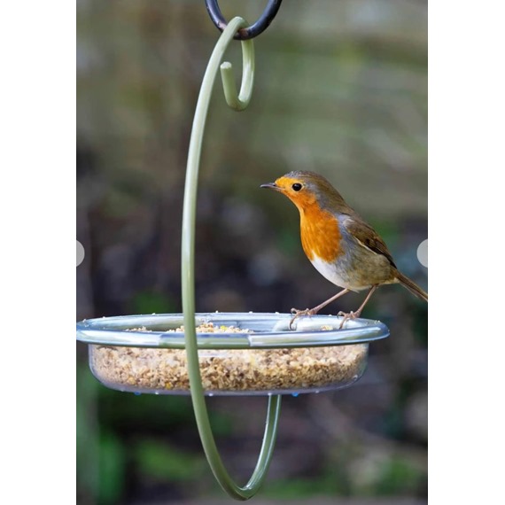 I Love Robins® Easy-clean Hanging Treat Dish