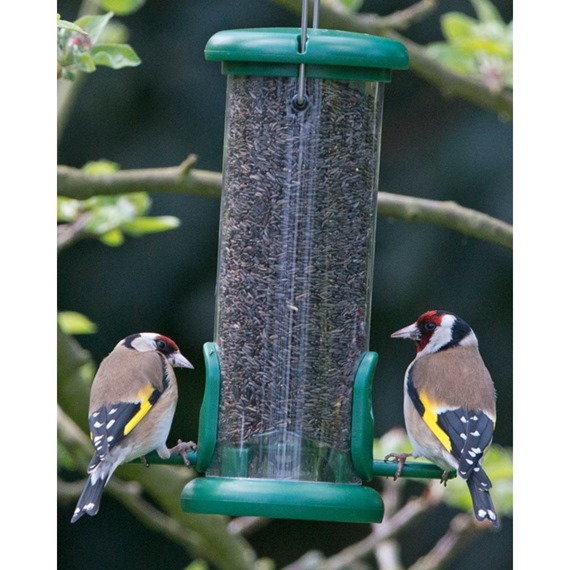 niger seed for birds