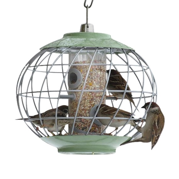 Nuttery Helix Seed Feeder