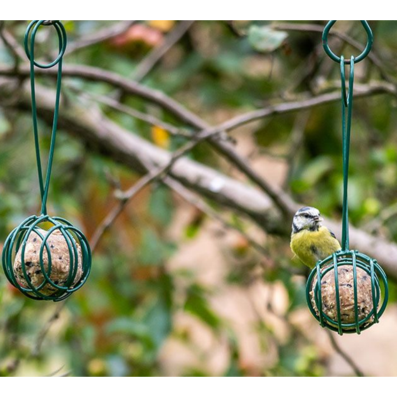 Lima Fat Ball Holder Scoop & Feed