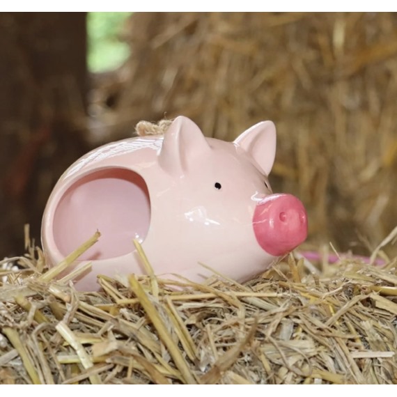 'Curlie' Hanging Ceramic Pig - Bird Feeder