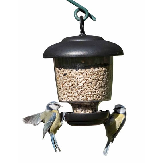 lantern seed feeder