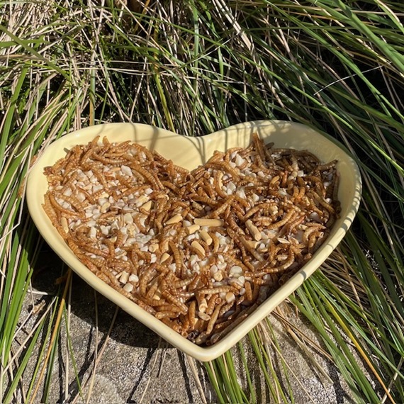 I Love Robins Ceramic Dish - Free 1kg Deluxe Robin Crumble