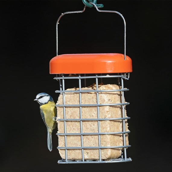 Premium Suet Feeder 