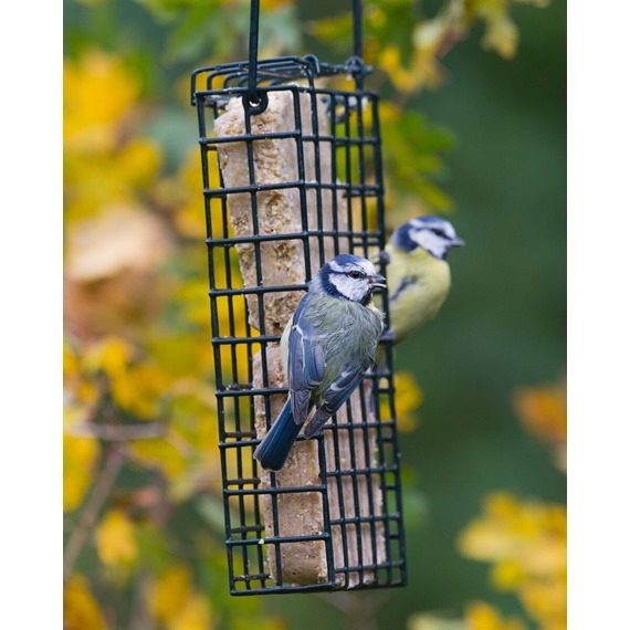 Duo Suet Cake Feeder