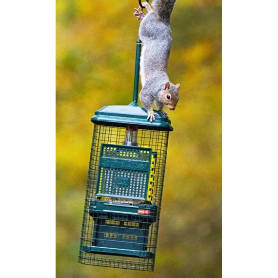 Squirrel Buster™ Suet + free Suet Cakes
