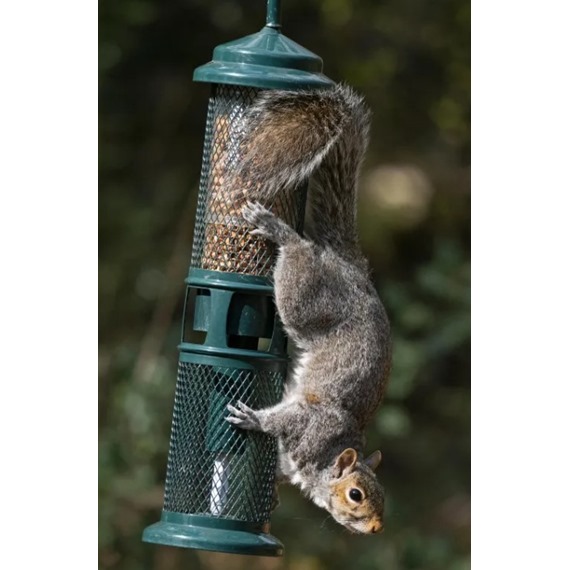 Squirrel Buster™ Peanut Feeder