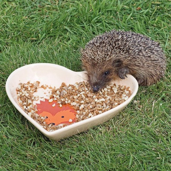 I Love Hedgehogs Ceramic Dish 