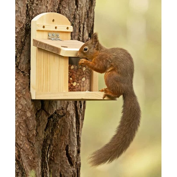 NutBox™ Squirrel Feeder