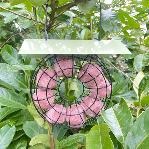Fat ball feeder filled with berry-flavoured suet balls