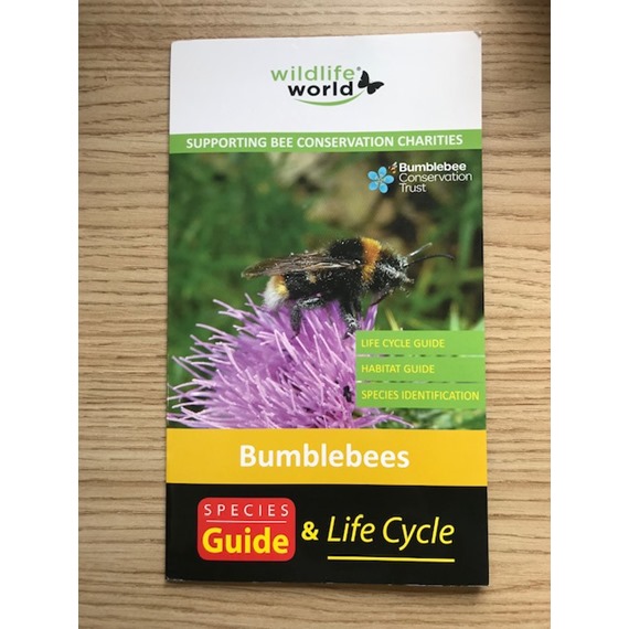 Species Guide to UK Bumblebees