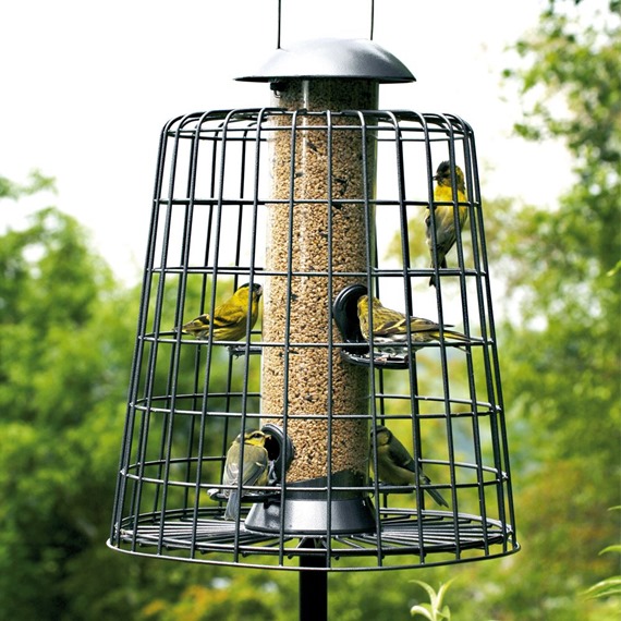 Adventurer 4 Port Bird Seed Feeder with Guardian