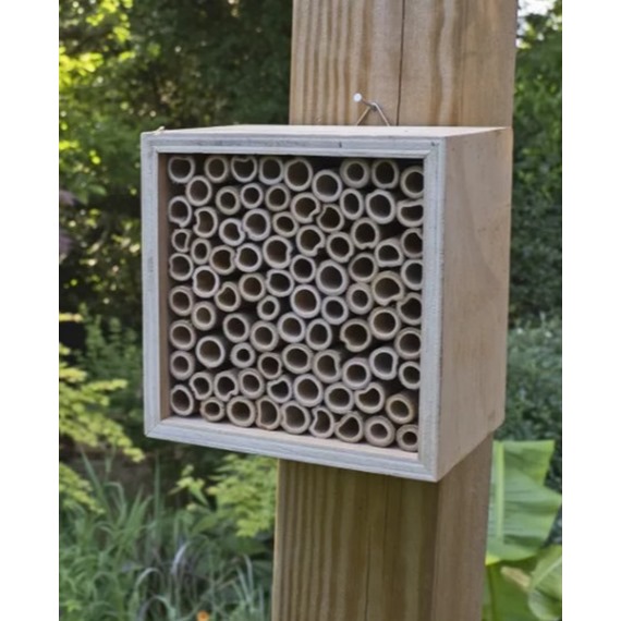 Nooks & Crannies Insect Block