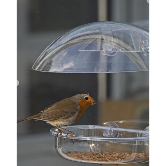 I Love Robins Window Feeder