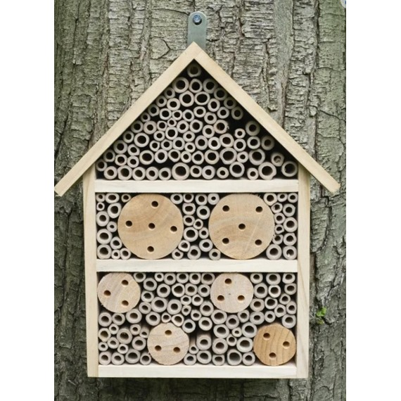 Nooks & Crannies Large Insect House