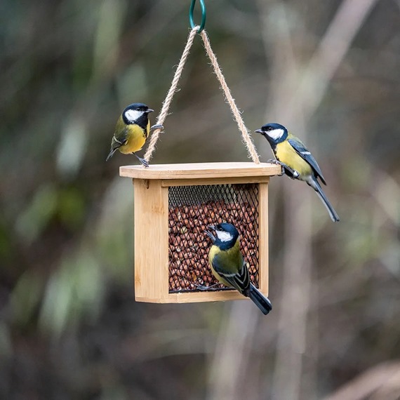 Nagano Peanut & Suet Feeder