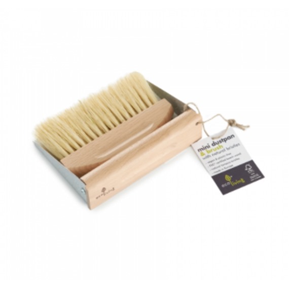 Mini Dustpan and Brush Set 