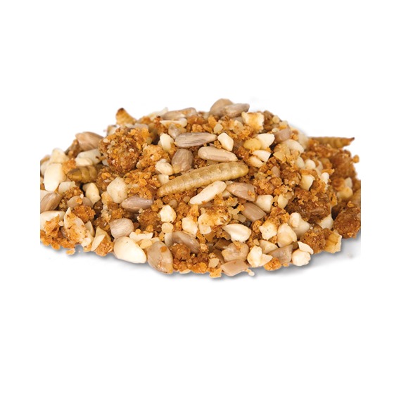 I Love Hedgehogs NOW 10% OFF 2KG