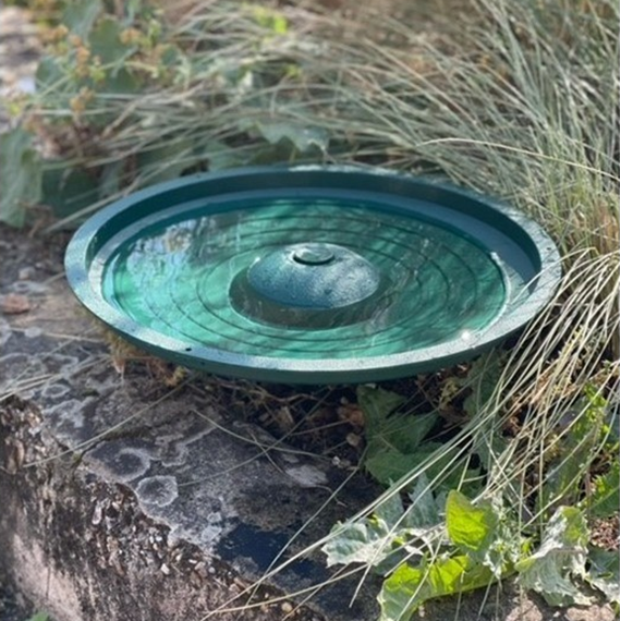 Anywhere Bird Bath