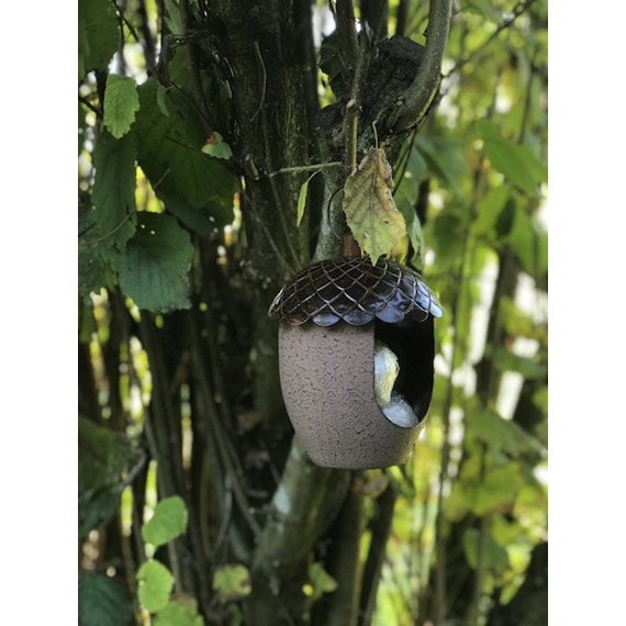 peckish acorn treat feeder