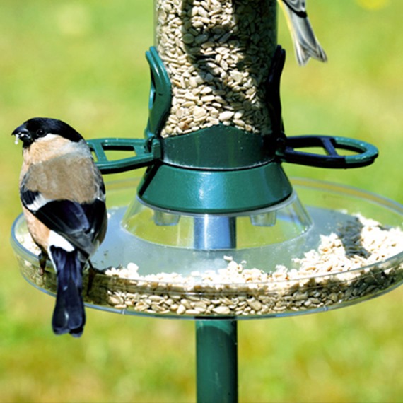 Standard Feeder Tray